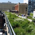 High Line and Hudson Yards Private Walking Tour - A Deep Dive into the Tour Experience