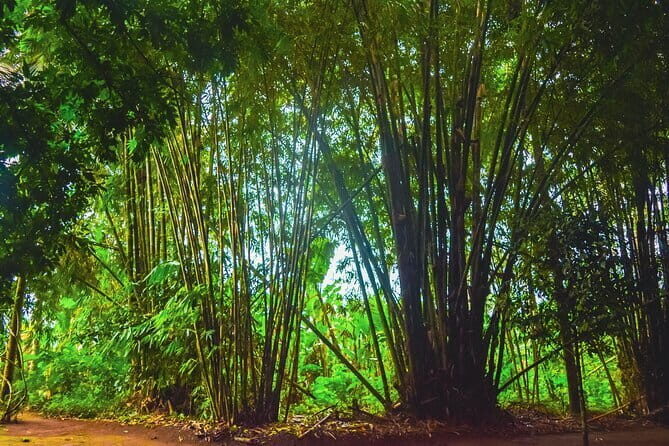 Highlight of Bali Tour - A Detailed Look at the Tour Experience