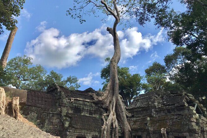 Highlights of Angkor Wat, Ta Prohm & Angkor Thom - Who Will Love This Tour?