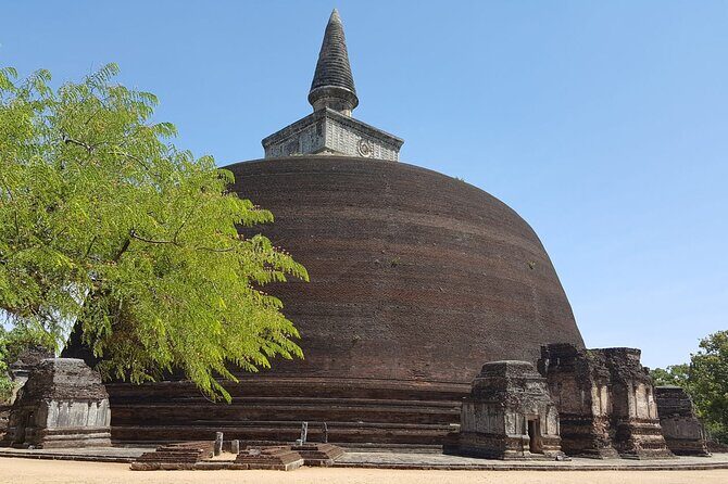 Highlights of Sri Lanka 8 Days Private Tour - Day 2: Monastic Mysteries and Elephant Encounters