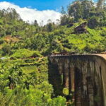 Highlights tour with tasting & Green environment in ella - A Deep Dive into the Tour Experience