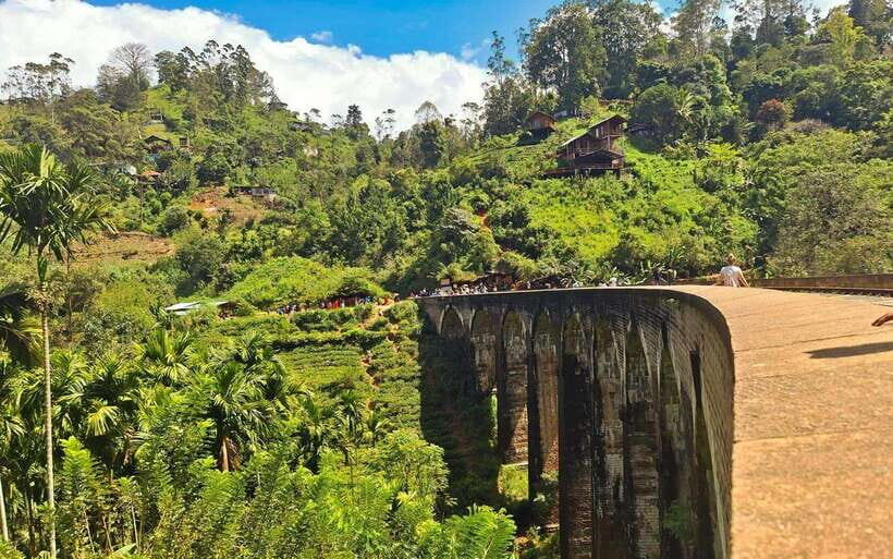 Highlights tour with tasting & Green environment in ella - A Deep Dive into the Tour Experience