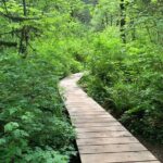 Hike and Bike the Vancouver Forests - The Itinerary in Detail