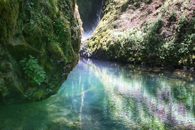 Hike and Bike Tour to Columbia River Gorge Waterfalls - Authentic Experiences and Authentic Insights