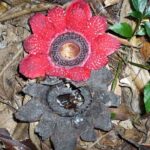 Hike and Kayak with exploring Tuyen Lam Lake in Da Lat - In-Depth Review of the Hike and Kayak Tour at Tuyen Lam Lake