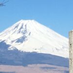 Hike Hakone Hachiri Japan Heritage Area - Final Thoughts: Who Is This Tour For?