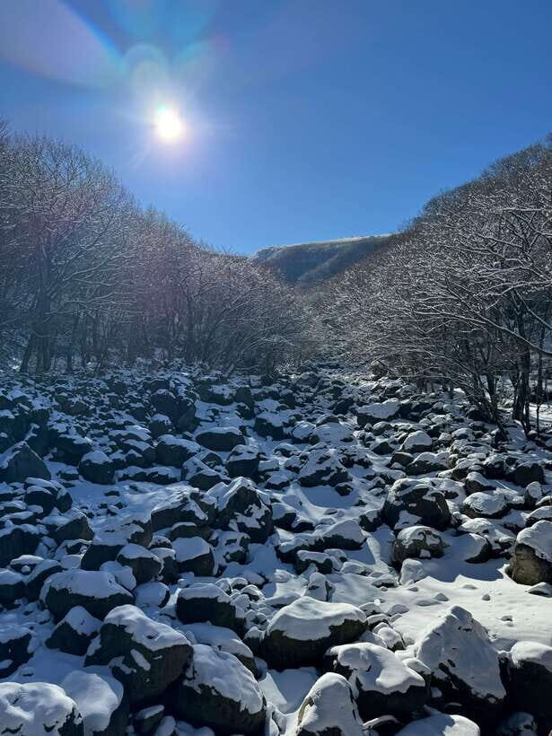 Hike Hallasan on Jeju Island, South Korea's highest mountain - In-Depth Review of the Hallasan Hiking Tour
