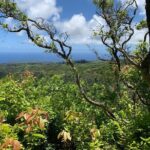 Hike Honolua Ridgeline - Who Will Love This Tour?