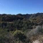 Hike in the Santa Monica Mountains - Why This Experience Offers Great Value