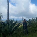 Hike in the Sierra Norte, Cuajimoloyas - What Travelers Say: Authentic Praise and Practical Tips