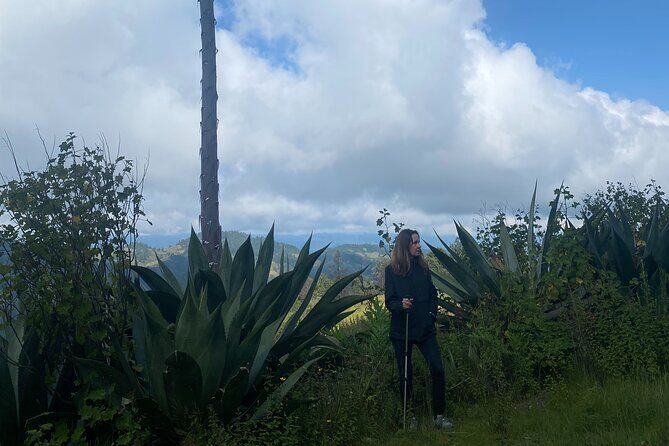 Hike in the Sierra Norte, Cuajimoloyas - What Travelers Say: Authentic Praise and Practical Tips