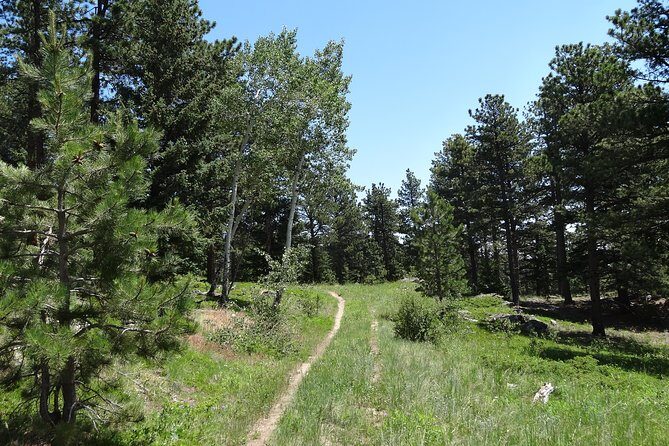 Hike the Rockies Half Day Tour - A Closer Look at the Hike the Rockies Half Day Tour