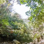 Hiking Adventure: River Trails & Waterfall Wonders - Frequently Asked Questions