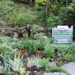 Hiking and Adventure from Napanee to Bon Echo Provincial Park - A Deep Dive into the Experience