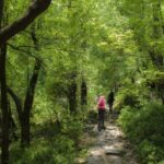 Hiking Day Tour to Triund from Dharamshala - Who Will Love This Trek?