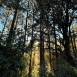 Hiking in the Sierra Norte of Oaxaca - Authenticity and Cultural Connection