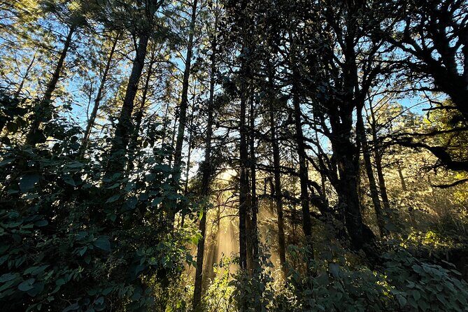 Hiking in the Sierra Norte of Oaxaca - Authenticity and Cultural Connection