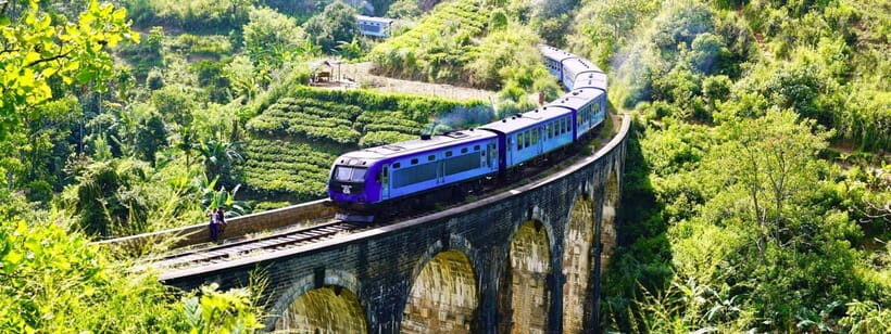 Hikkaduwa/Galle/Weligama/Mirissa: Day Trip to Ella Highlands - Who Would Enjoy This Tour?