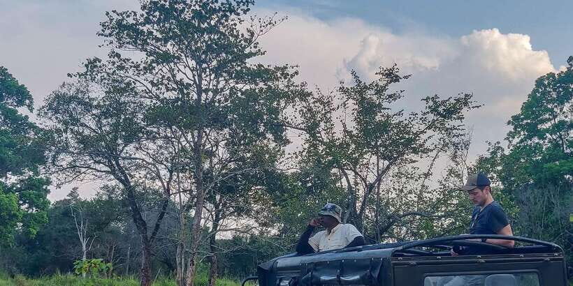 Hikkaduwa: Yala National Park Safari with Hotel Pickup - Transportation and Comfort