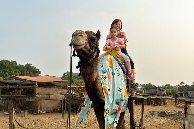 Hill-station & Heritage: Lonavala & Karla Caves Tour from Mumbai - Authentic Experiences and Traveler Feedback