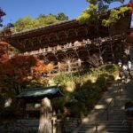 Himeji Full-Day Private Tour with Government-Licensed Guide - A Deep Dive into the Himeji Private Tour