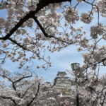 Himeji: visit the castle and Engyoji temple from Osaka - A Closer Look: What the Tour Includes and Excludes