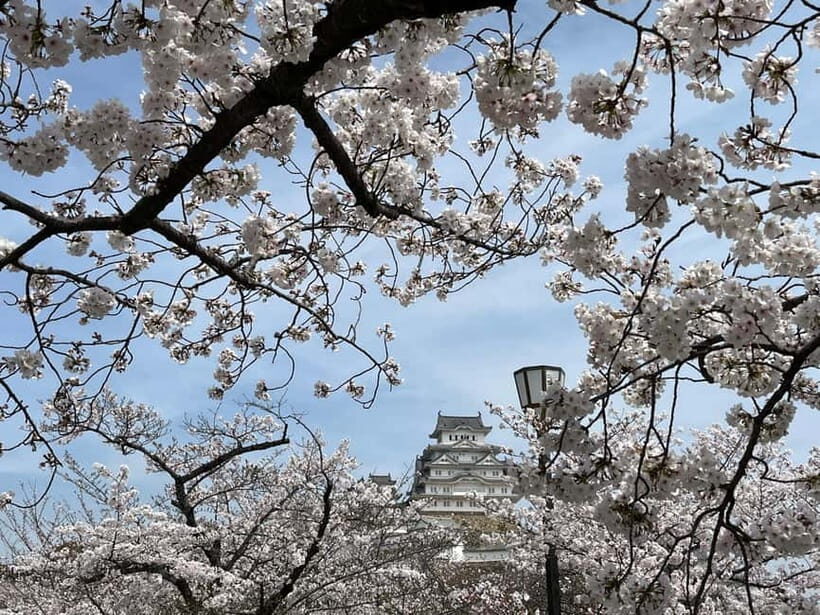 Himeji: visit the castle and Engyoji temple from Osaka - A Closer Look: What the Tour Includes and Excludes