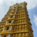 Hire a Guide for Full day Mysore sightseeing with own transport - Practical Tips for the Tour