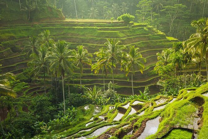 Hire Private Bali Driver - The Sum Up: Who Should Book This Tour?