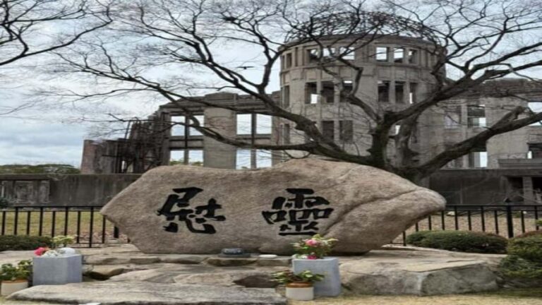 Hiroshima and Peace Park Private guided Tour - Who Should Take This Tour?