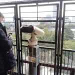 Hiroshima Castle 1h guide tour - Panoramic Views from the Top