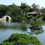 Hiroshima City 4hr Private Walking Tour with Licensed Guide - Who Should Consider This Tour?