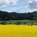 Hiroshima Country Cycling: Explore Rural Life 1 HR from City - Exploring Hiroshima’s Countryside on Two Wheels