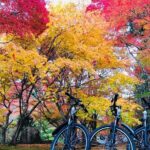 Hiroshima Country Cycling: Explore Rural Life 1 HR from City - Practical Details and What to Expect