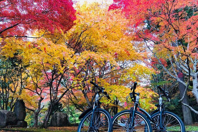 Hiroshima Country Cycling: Explore Rural Life 1 HR from City - Practical Details and What to Expect