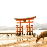 Hiroshima & Miyajima tour with English/Spanish Speaker Guide - A Guided Tour That Balances History and Beauty
