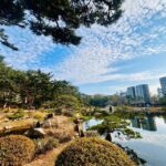 Hiroshima: Private City Highlights Walking Tour - Practical Information for Travelers