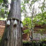 Hiroshima Scenic Cycling Guided Tour - Practical Details and Tips