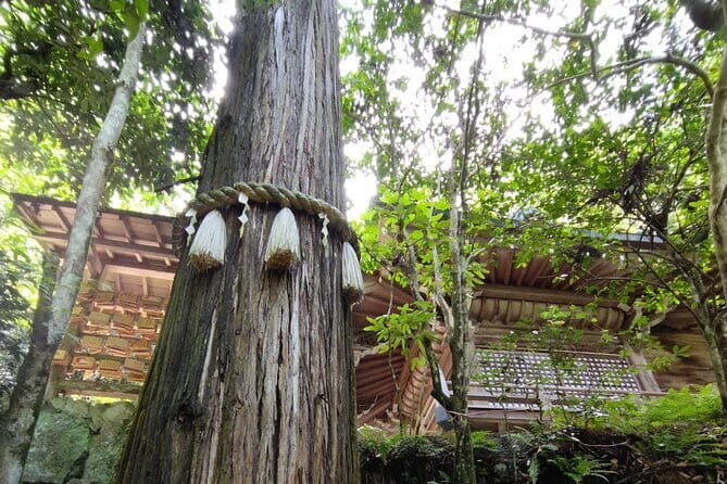 Hiroshima Scenic Cycling Guided Tour - Practical Details and Tips