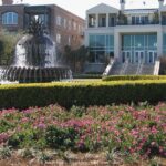 Historic Charleston: 2-hour Private Highlights Walking Tour - Frequently Asked Questions (FAQs)