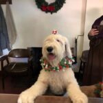 Historic Museum Tour Ticket - Authentic Experiences That Stick