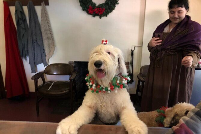 Historic Museum Tour Ticket - Authentic Experiences That Stick