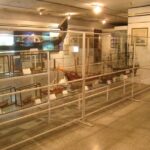 Historical Delhi Museum Tour - Authentic Experiences and Traveler Insights