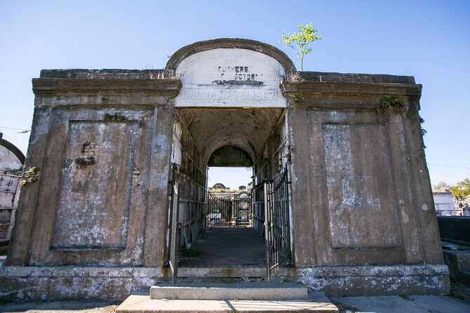 History of New Orleans Private Driving & Walking Tour - Who Will Love This Tour?