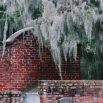History of Savannah Walking Tour - Key Points