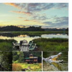 Ho Chi Minh: 2 Days Private Nam Cat Tien National Park - An In-Depth Look at the 2-Day Private Tour Experience