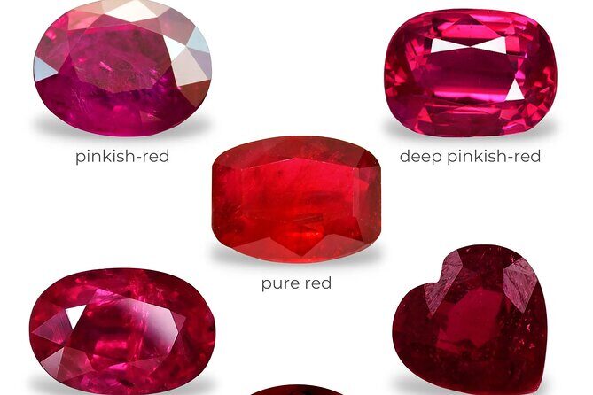 Ho Chi Minh City Shopping Experience Shore Excursion from Saigion - Why This Tour Works for Travelers