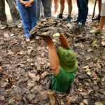Ho Chi Minh: City Tour Full Day Shore Excursion - A Deep Dive into the Full-Day Ho Chi Minh City Tour