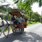 Ho Chi Minh Daily Tour: Full Day Mekong Delta (Private tour) - Why This Tour Works Well