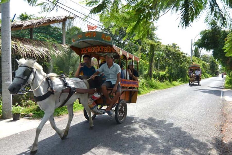 Ho Chi Minh Daily Tour: Full Day Mekong Delta (Private tour) - Why This Tour Works Well